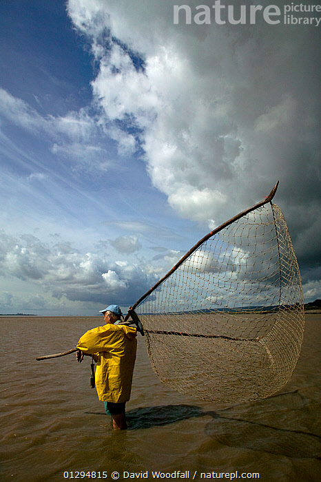 Fishing nets in England