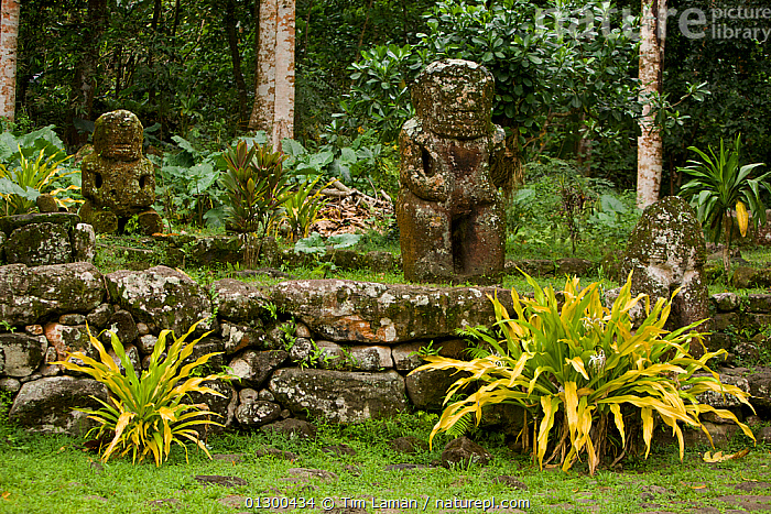 Polynesian Rocks Stock photo of Polynesian rock art, Puamau site on Hiva Oa, French ...