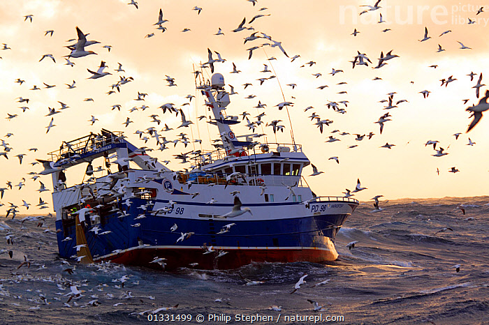 Fishing Trawl Net in a Trawler Boat Stock Image - Image of fishing