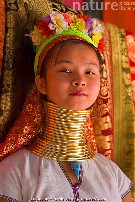 Thailand, Chiang Mai, Karen Long Neck hill tribe village (Kayan Lahwi),  Long Neck young girl in