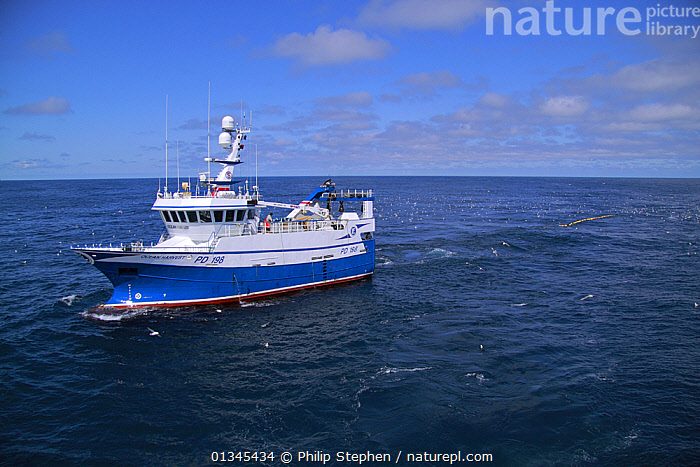 A fishing boat hauling in a net of sea scallops