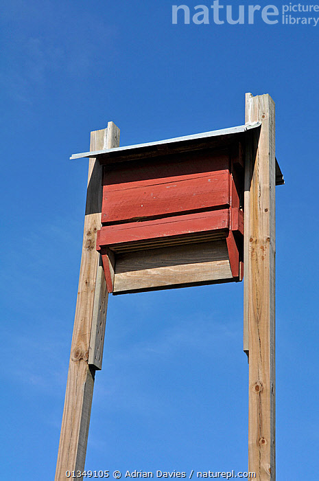 Stock photo of Bat box. Venice Rookery, Florida, USA, January ...