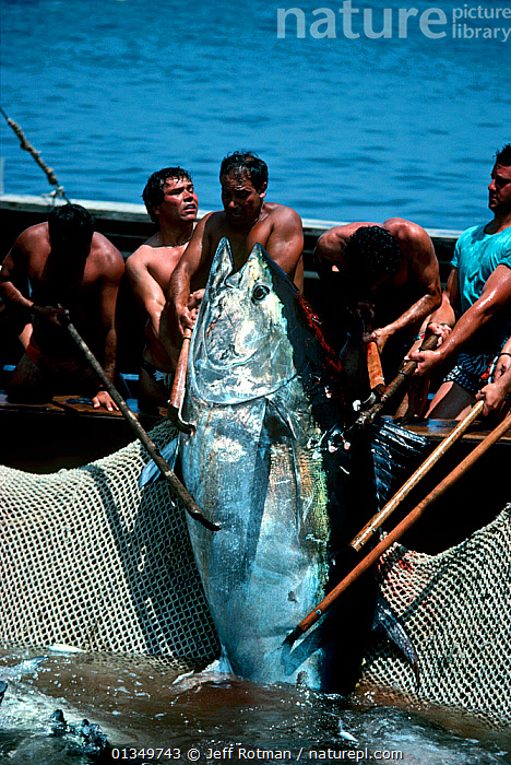 Fishing Landing Net In Blue Sea At Mediterranean Stock Photo