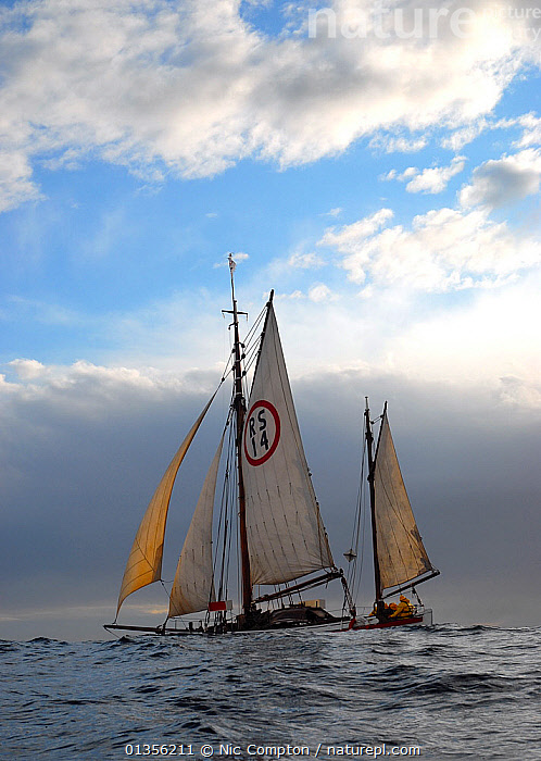 Colin Archer boats for sale