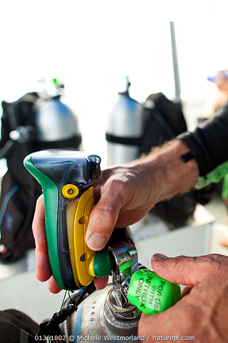 Nitrox Scale Stock photo of Man checking nitrox meter and tank for oxygen percentage ...