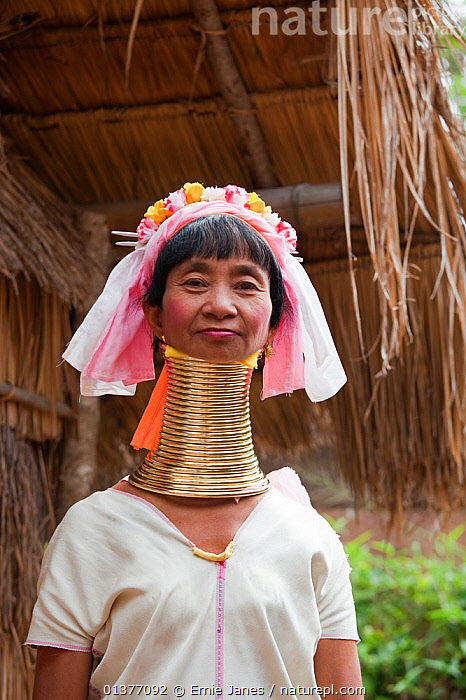 Stock photo of Long necked woman with many neck rings belonging to