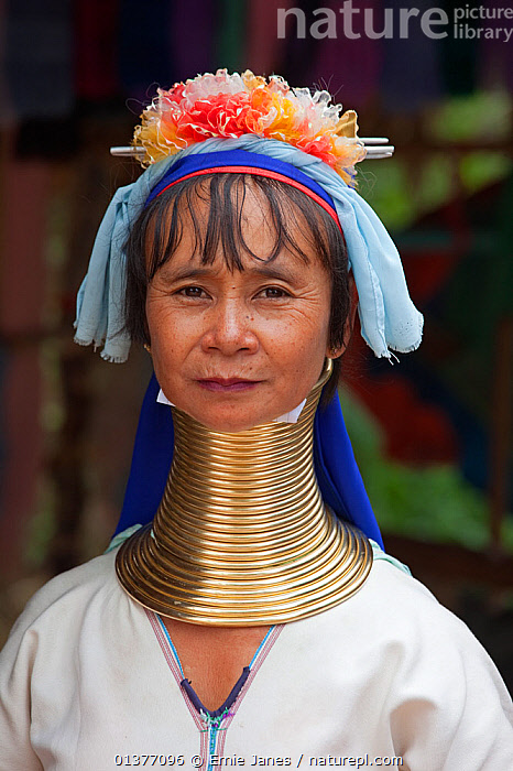 Stock photo of Long necked woman with many neck rings belonging to