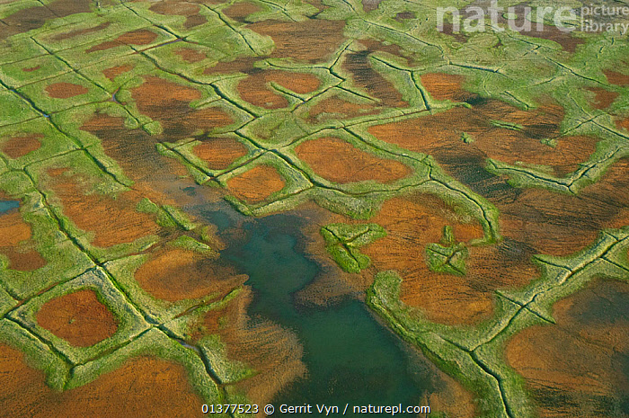 Stock Photo Of Aerial View Of Tundra Polygons And Caribou Tracks