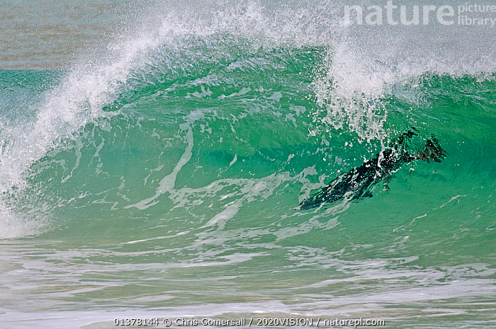 Surf hebrides deals