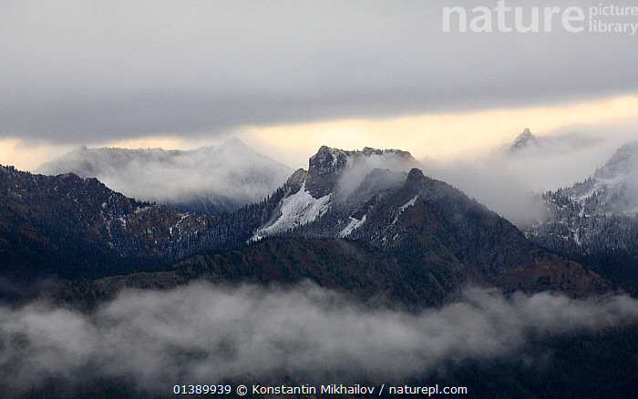 Stock photo of Scenic view from Mt. Rainier Sunrise point to the ...