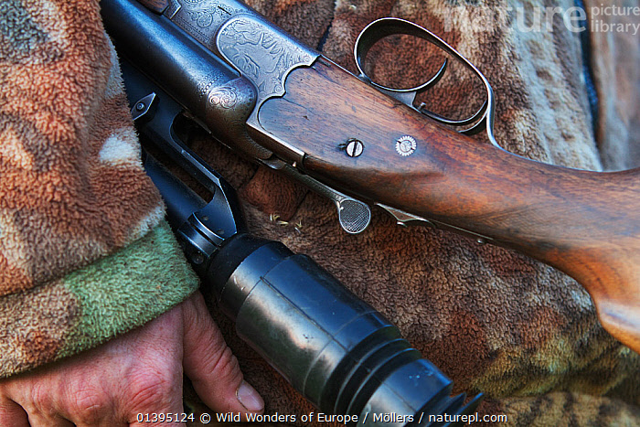 Stock photo of Close-up of hunter's rifle engraving showing a roaring ...