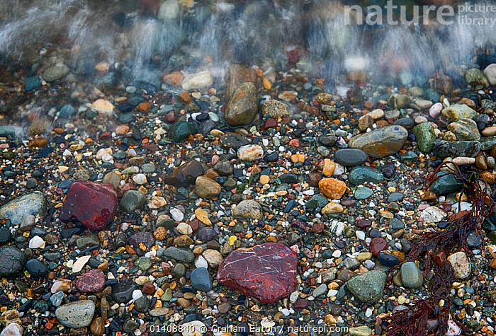 Stock photo of Pebbles of semi-precious Jasper, Quartz SiO2, in shingle ...