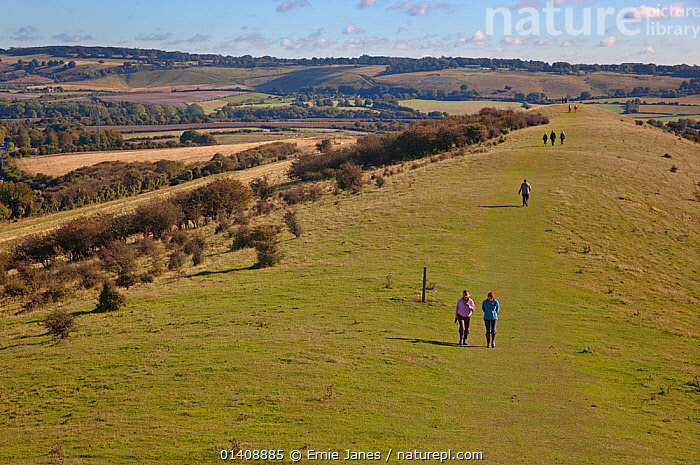 Stock Photo Of The Ridgeway Path Ivinghoe Beacon Chilterns stock-photo-of-the-ridgeway-path-ivinghoe-beacon-chilterns