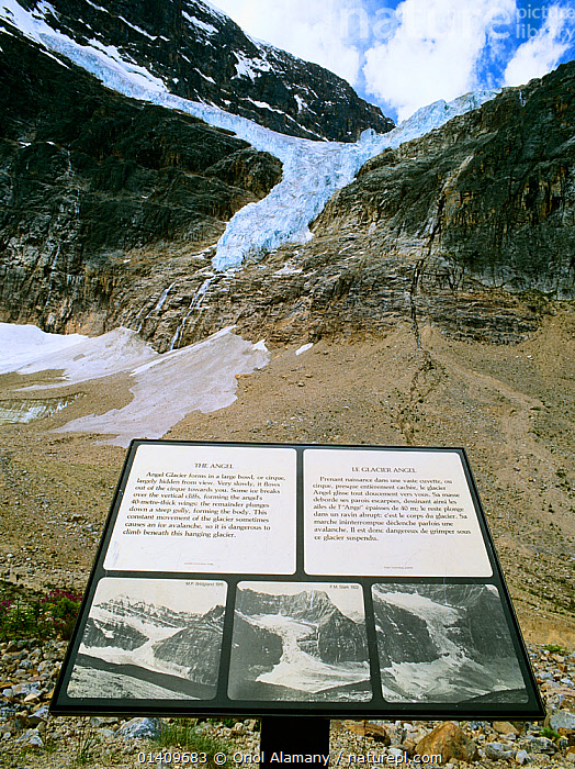 Stock photo of Information panel with photos showing the Angel Glacier