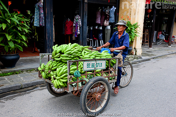 Bicycle trader 2024