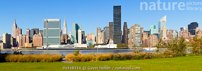 Stock photo of Skyline of Midtown Manhattan seen from the East River ...