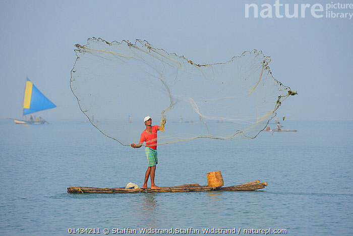 Stock photo of Throw-net fisherman, on raft, Pulicat Lake, Tamil