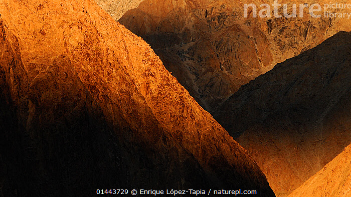 Stock photo of Evening light illuminates the Nubra Valley mountains. Ladakh,  India…. Available for sale on