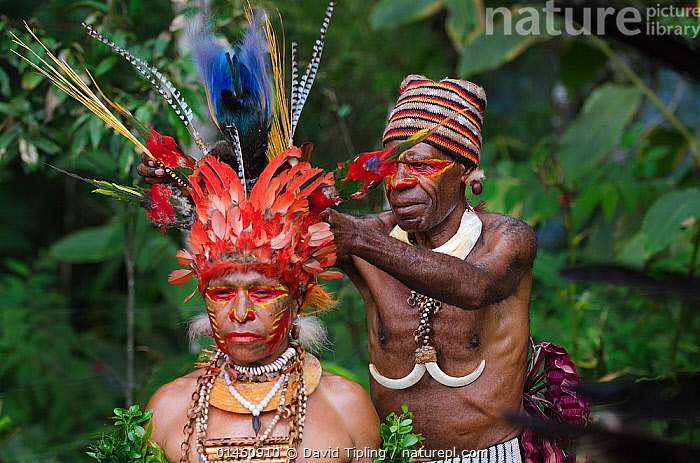 Stock photo of Jika tribal dancer having her head dress prepared