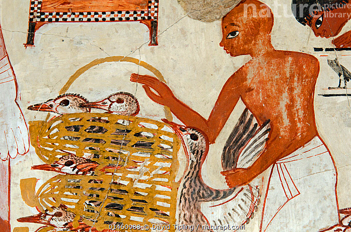 Stock photo of Painting from the tomb wall of Nebamun