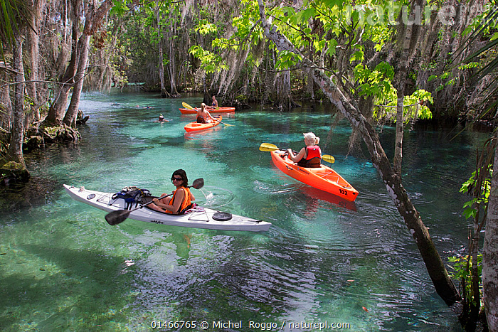 Stock photo of Kayakers entering Three Sister Springs, Crystal