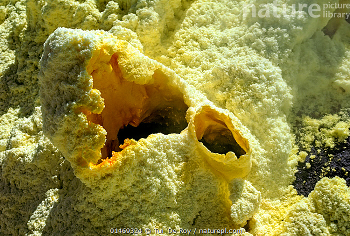 Stock photo of Sulphur fumaroles inside caldera of Sierra Negra