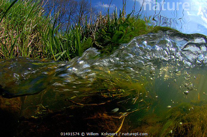 Split Stream Nature Stock photo of Split level view of stream with rippling water, North ...