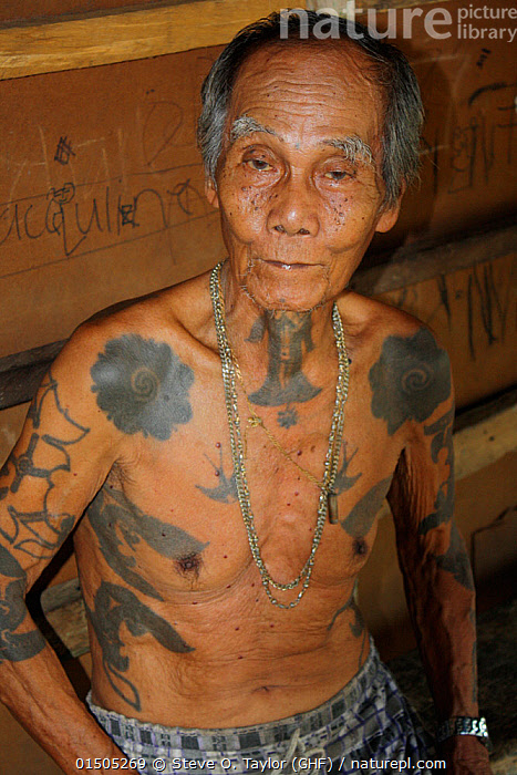 Pin on Borneo Tattoo
