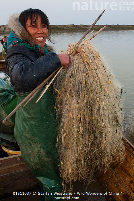 Fisherwoman Free Stock Photos, Images, and Pictures of Fisherwoman