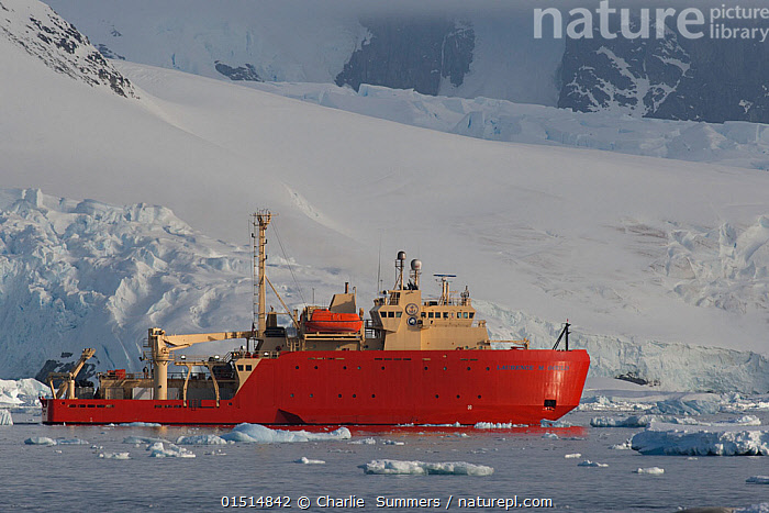 Stock photo of RV Laurence M. Gould icebreaker used by researchers from