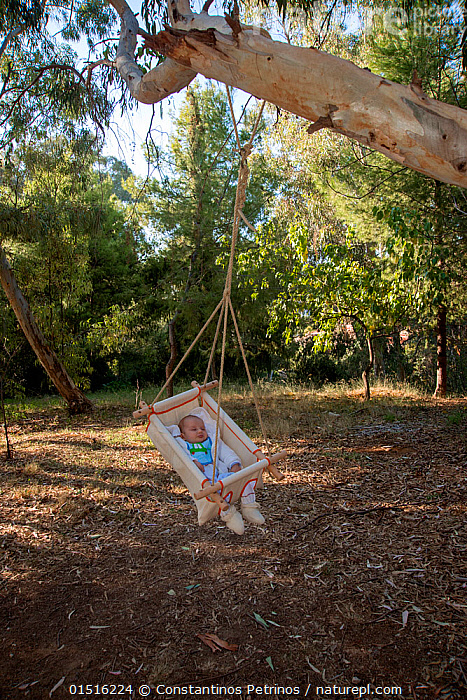 Stock photo of Baby boy sleeping inside a baby swing hanging from