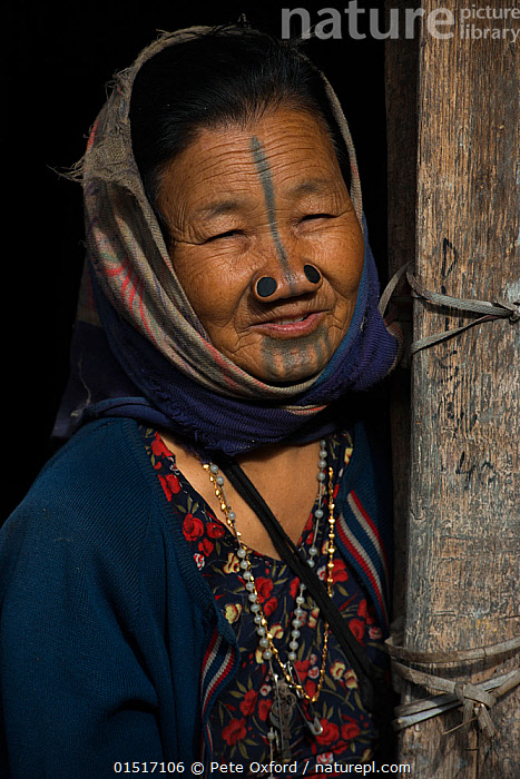 Stock photo of Apatani woman with facial tattoos and traditional nose ...