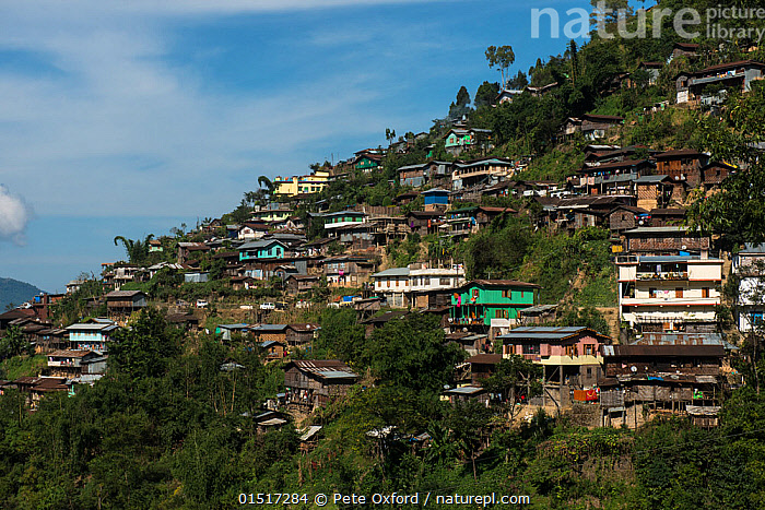 Picture of Tuensang