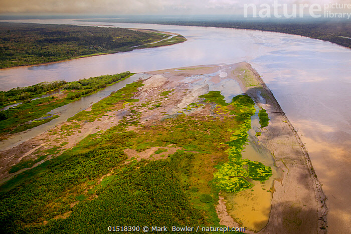 Stock photo of Aerial view of Amazon River, with settlements and ...