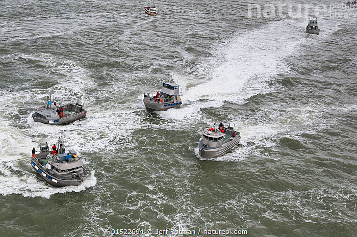 Stock photo of Large number of fishing boats fishing for Sockeye salmon  (Oncorhynchus…. Available for sale on