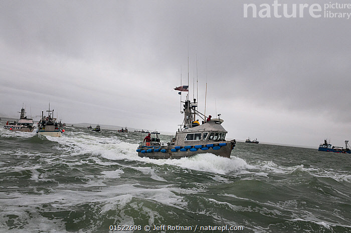 Stock photo of Fishing boat dropping the net for Sockeye salmon