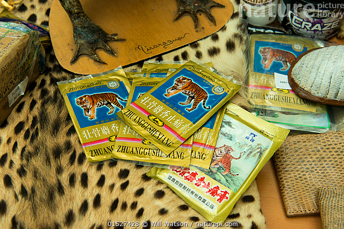 Stock photo of Tiger bone products used in Chinese medicine and