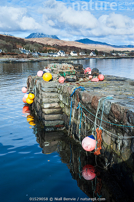 Stock photo of Lobster traps and buoys on pier at Craighouse, Jura, Inner  Hebrides…. Available for sale on