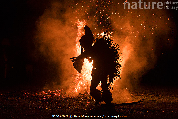 Stock photo of Baining men in traditional fire dance ceremony. Men ...