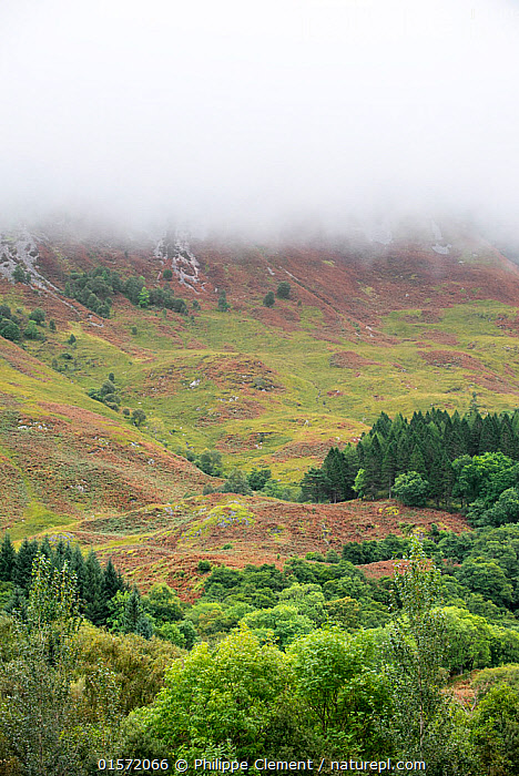 Stock photo of Rain cloud forming thick fog descending from steep ...