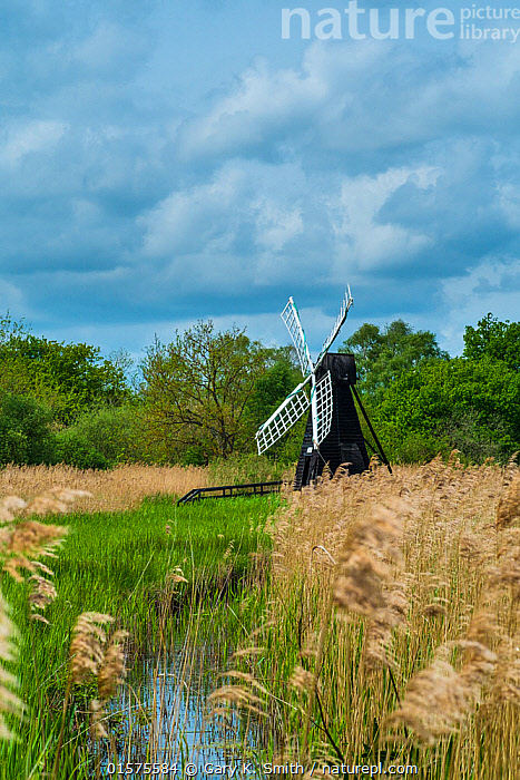 Wind water sale pump for sale