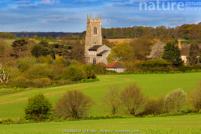 Stock photo of St.Mary The Virgin Church, Northrepps village, North ...