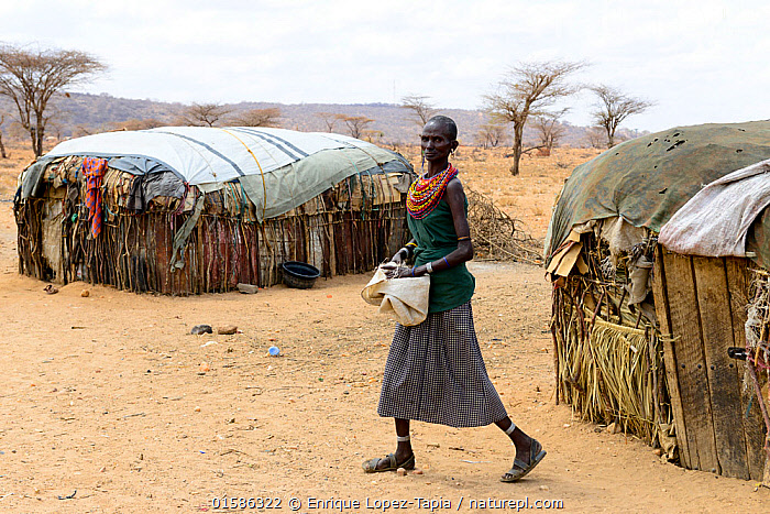 Stock photo of Samburu woman next to improvised huts in dry