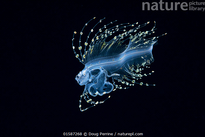 Kechasi uxlab yotgan fotosuratni tomosha qilish Rus ayollarining seks kasting video