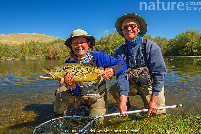 Fisherman with Fishing Hook and Brown Trout Stock Photo - Image of