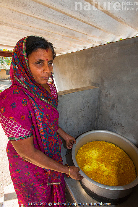 Solar Cooking in India