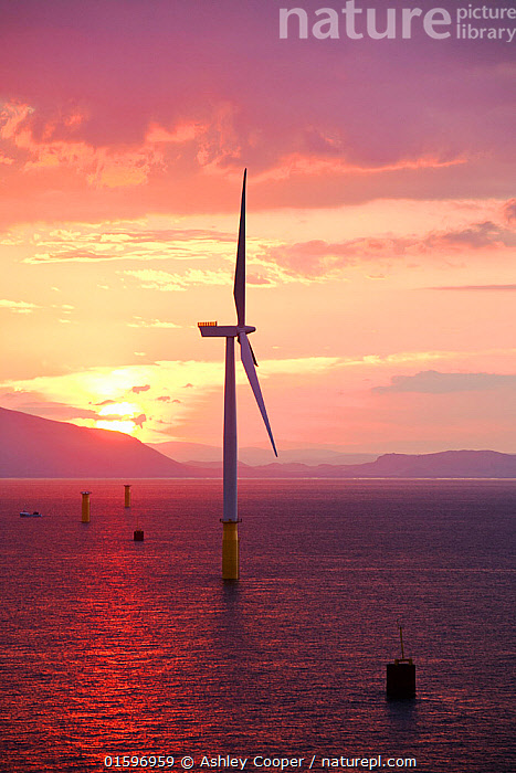 Stock photo of The Walney offshore windfarm at sunrise Barrow in