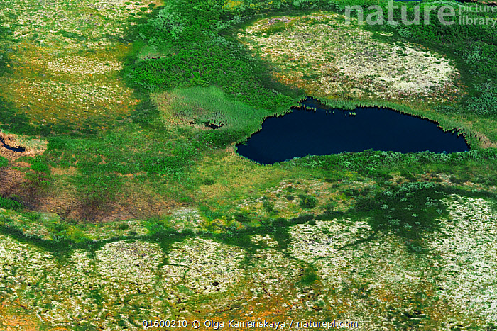 Stock photo of Aerial view of Pechora River Delta, Nenets Autonomous ...