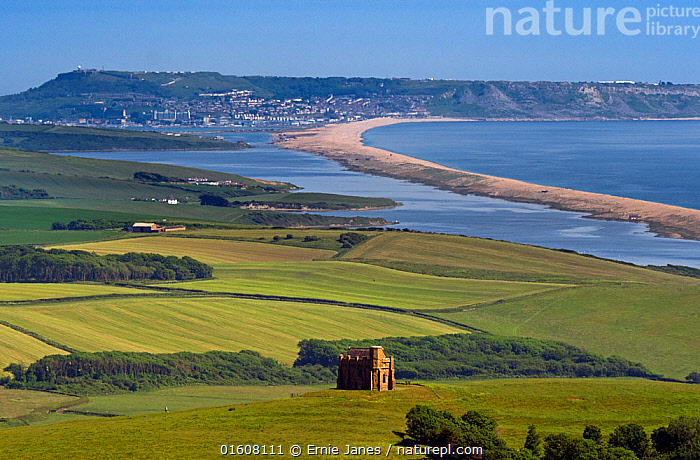 Stock photo of Chesil Beach on the Jurassic Coast in Dorset. England ...