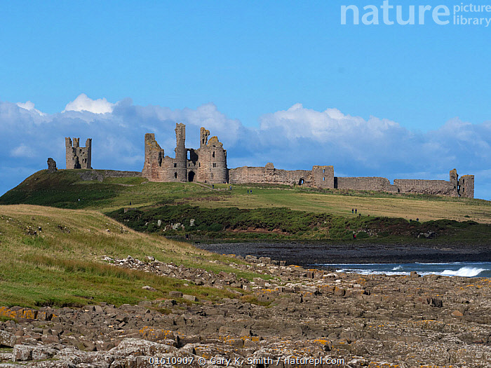 Stock photo of Dunstanburgh Castle, Embleton Bay, Northumberland